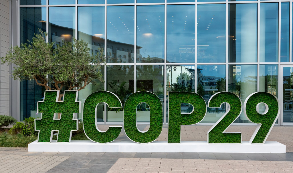COP 29