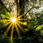 Hope in great uncertainty