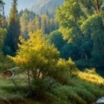 Winter 2025 edition of EarthConnection News