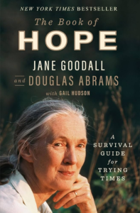 Hybrid Book Club Session